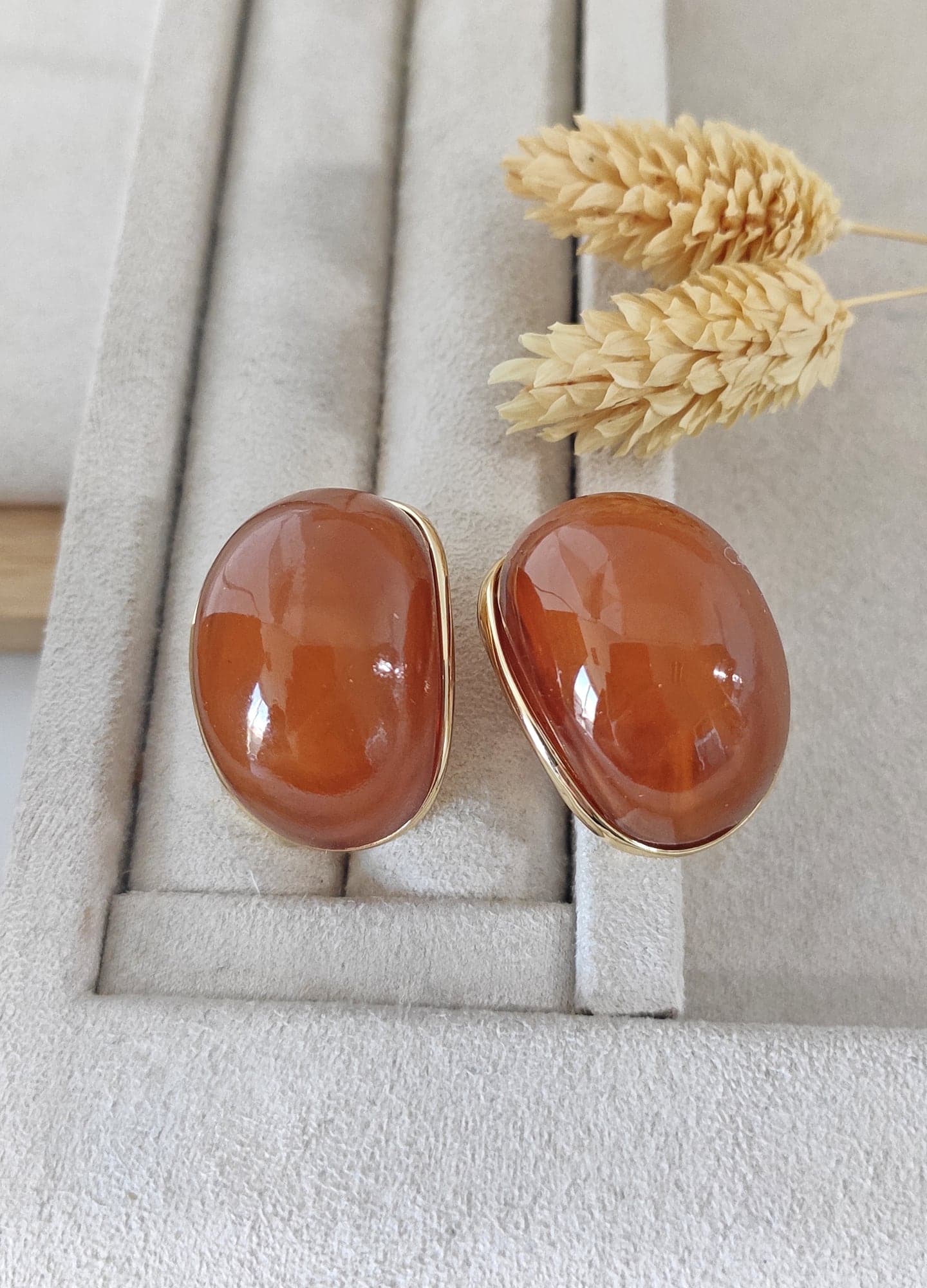 Gold Plated Coffee Enamel Studded Earrings with Brass